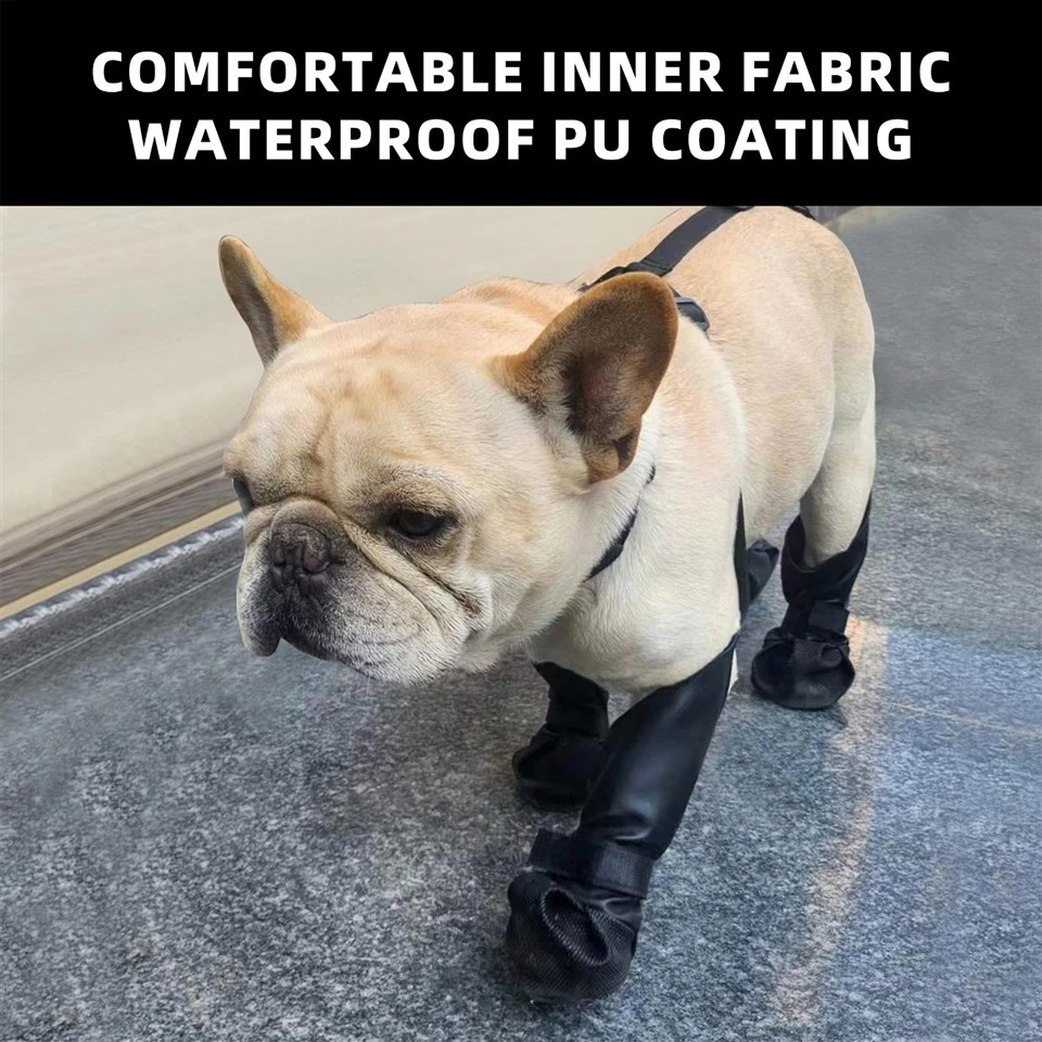 Dog Shoe Suspenders factory
